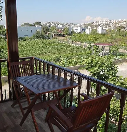 شقة فندقية Simay Apart *