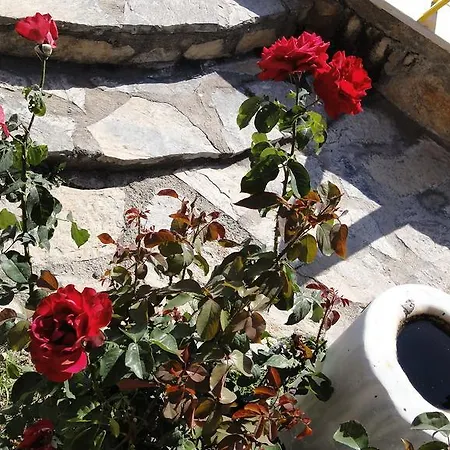 Simay Apart Ξενοδοχείο με διαμερίσματα *
